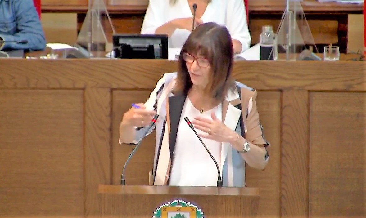 Ana Berta Campo. Estatuto Personas Cuidadoras. Pleno Gernika